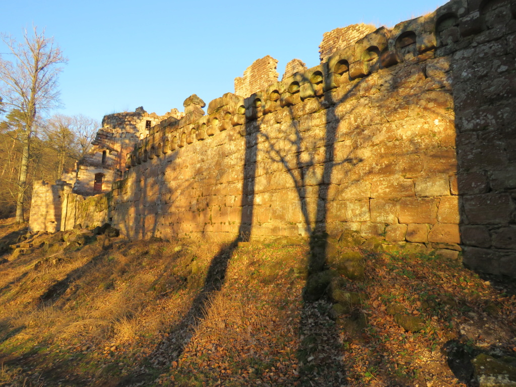 Mercredi 27 février 2019. Img_0631