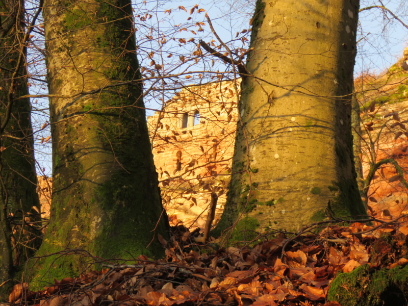 Samedi 28 décembre 2019 Img_1645