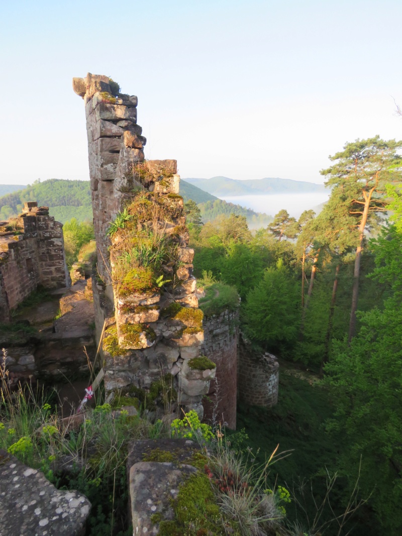 Mercredi 1er mai 2019 - Journée des Châteaux Forts Img_2620