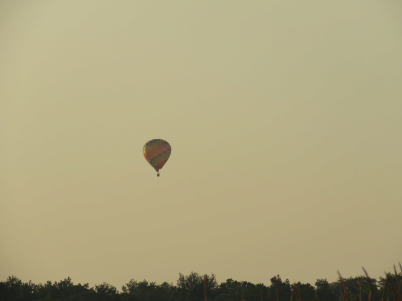 mercredi 22 août 2018. Img_5590