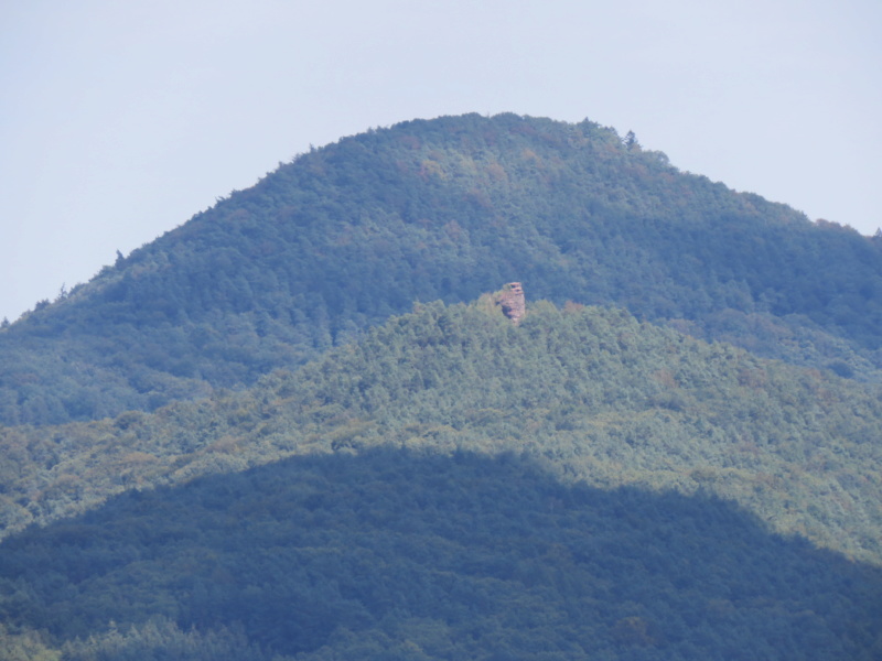 Samedi 01-09-2018 (randonnée dans le Palatinat) Img_5973