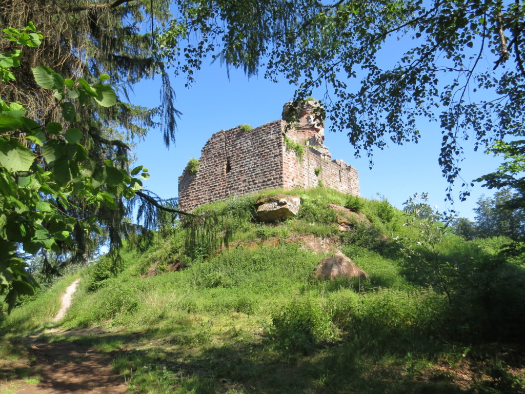 Les châteaux au bout des Vosges du Nord. Img_8363