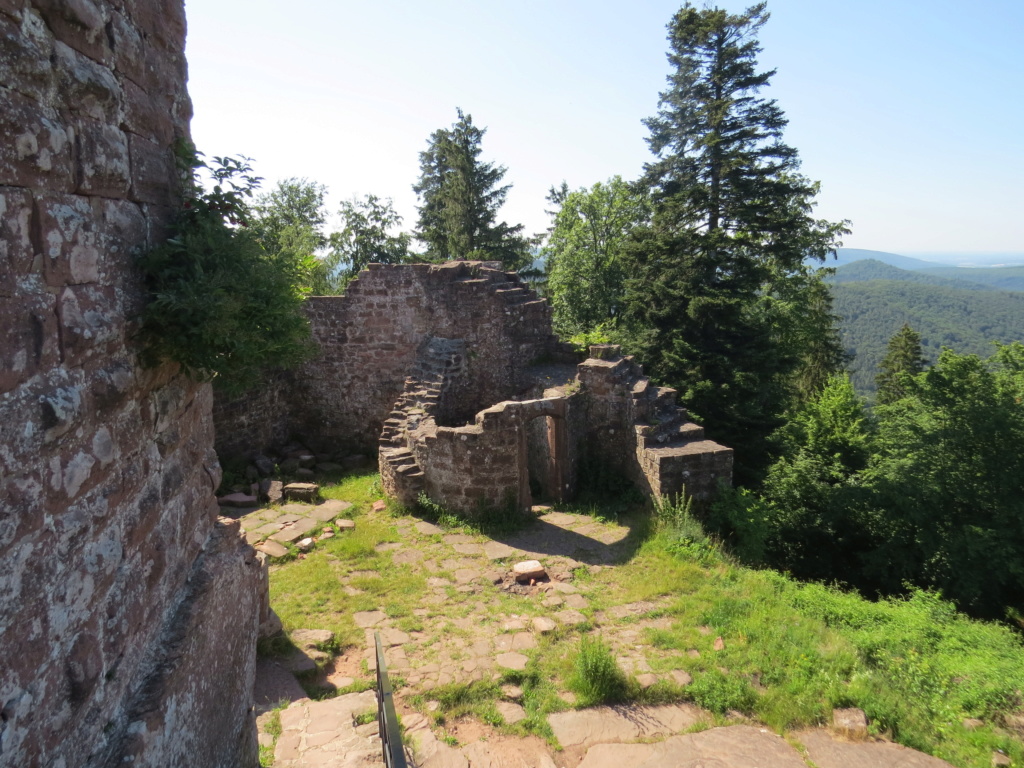 Les châteaux au bout des Vosges du Nord. Img_8462