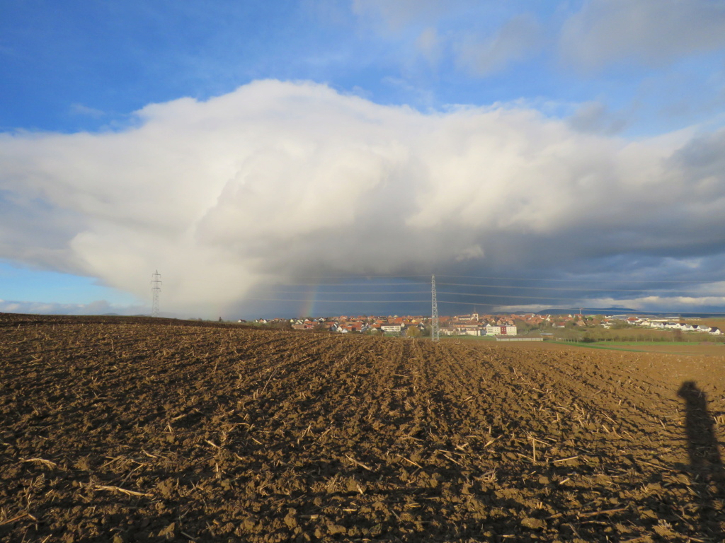 Sortie dans les collines, hier 28 décembre. Img_8501