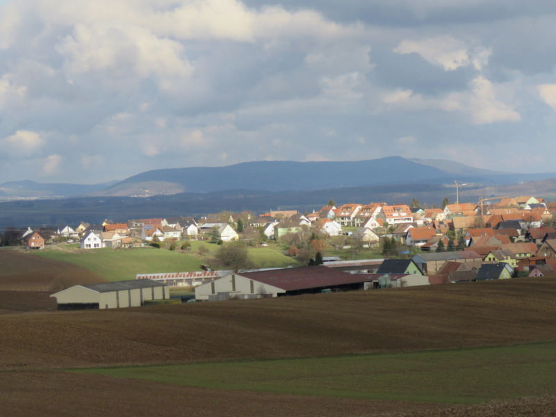 Randonnée dans les collines. Img_9610