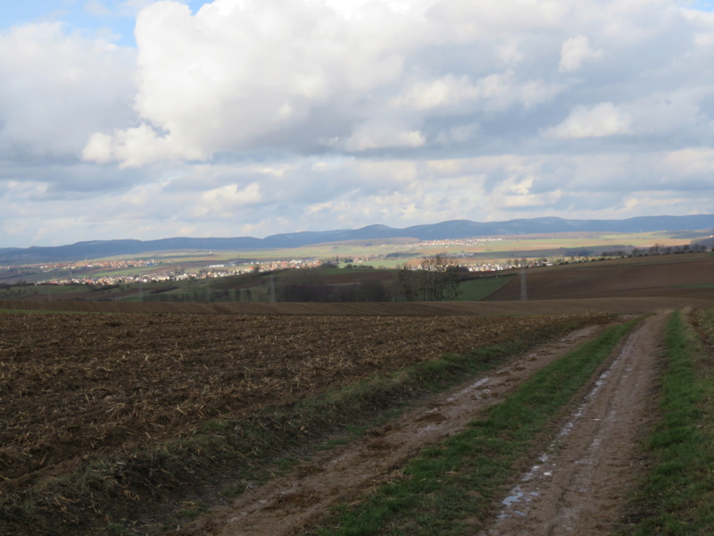 Randonnée dans les collines. Img_9617