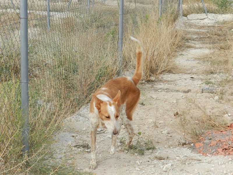 MILAGRO, mamie pod 12 ans, Urgent Mila410