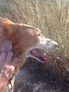 MILAGRO, mamie pod 12 ans, Urgent Milagr14