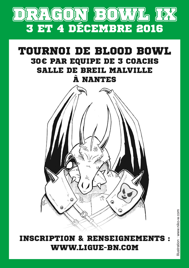 DragonBowl VIII - 3-4 Décembre à Nantes (44)   - Page 2 Fly-2010