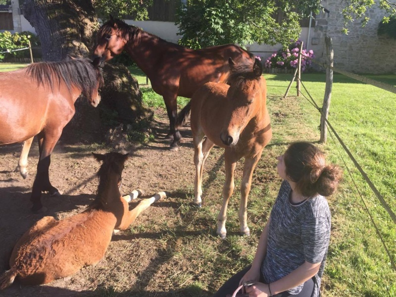 Sybelle double ponette, 9 ans, à adopter ! 13621810