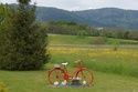 Tour des Ballons d'Alsace par les cinq pistes cyclables [28 juin au 1 juillet] saison 9 •Bƒ  - Page 6 Photo916