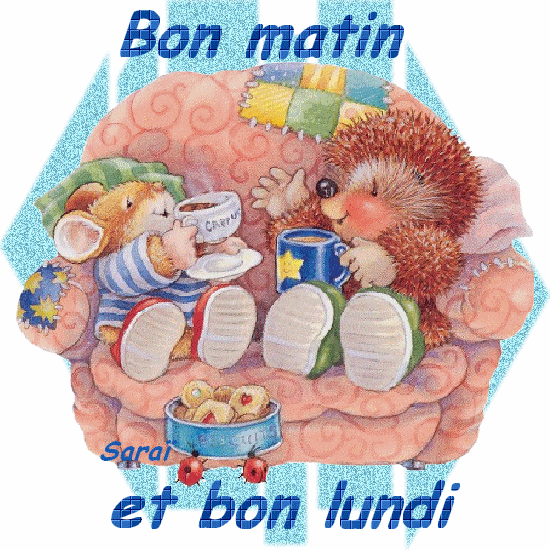 cairns de Juillet 2016 - Page 11 Ajpv9t10