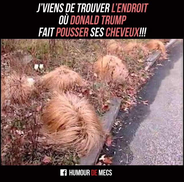 HUMOUR - blagues - Page 8 13872610