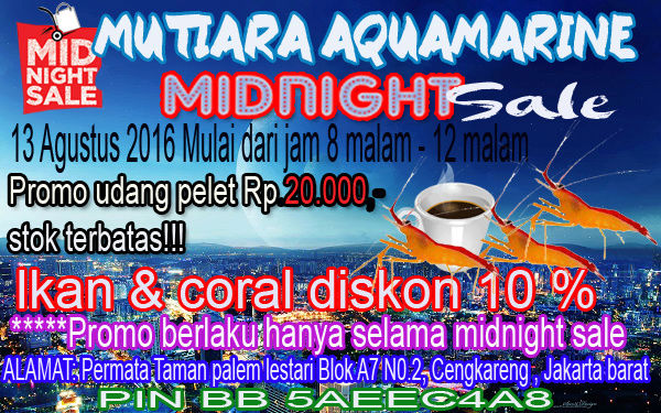 Midnight sale @MUTIARA AQUAMARINE Ajmy7t10