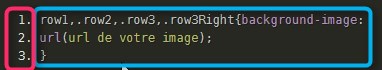 Ajouter des images dans les cellules Css11