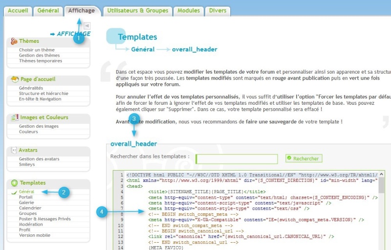 ou inserer un code html dans la page d 'accueil Meta10