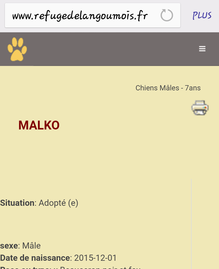 Malko (en cours d'adoption)et  Galant (ADOPTÉ) deux jeunes mâles croisés beauceron nés en 2015 et 2013 Scree284