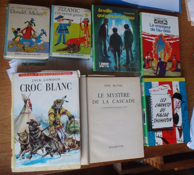 Mes trouvailles de ce congé de fin de semaine - Page 18 P7250712