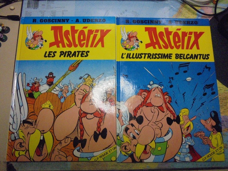  asterix échiquier - Page 23 Dsc02229