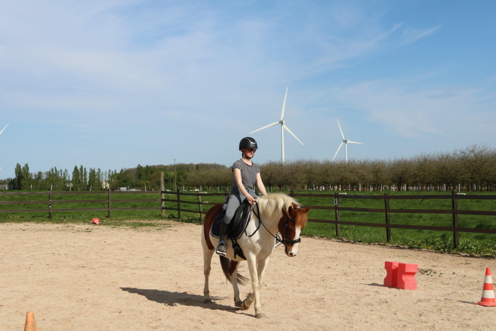 (Dpt 77) Tornado, poney ONC de 7 ans, sauvé par Baboune 83 (Oct 2014) - Page 7 Img_4112