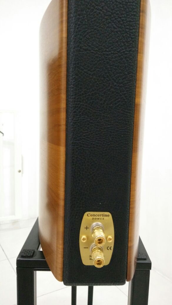 Sonus Faber concertino domus bookshelf speaker (sold) Img-2083
