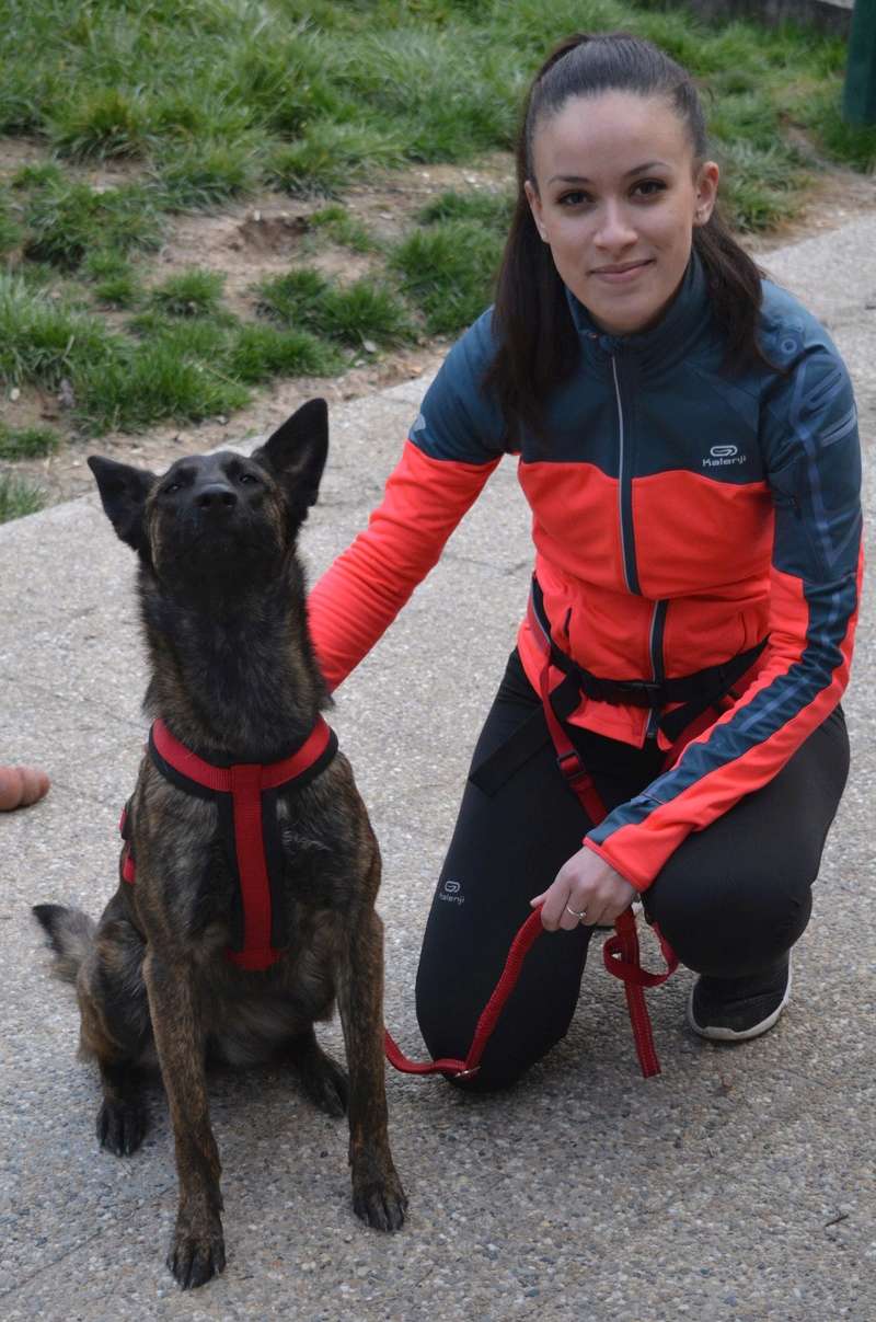 Photos de vous et vos chiens en pleine activité (course, vtt,ring, ..) Dsc_1015