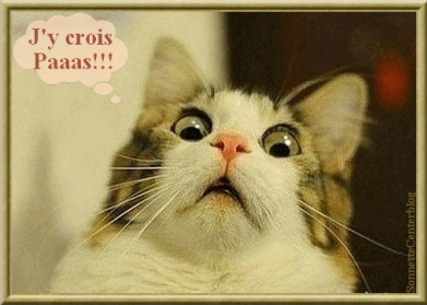 Les horreurs de Gilulu ... non... il a pas osé - Page 15 Chat-j11