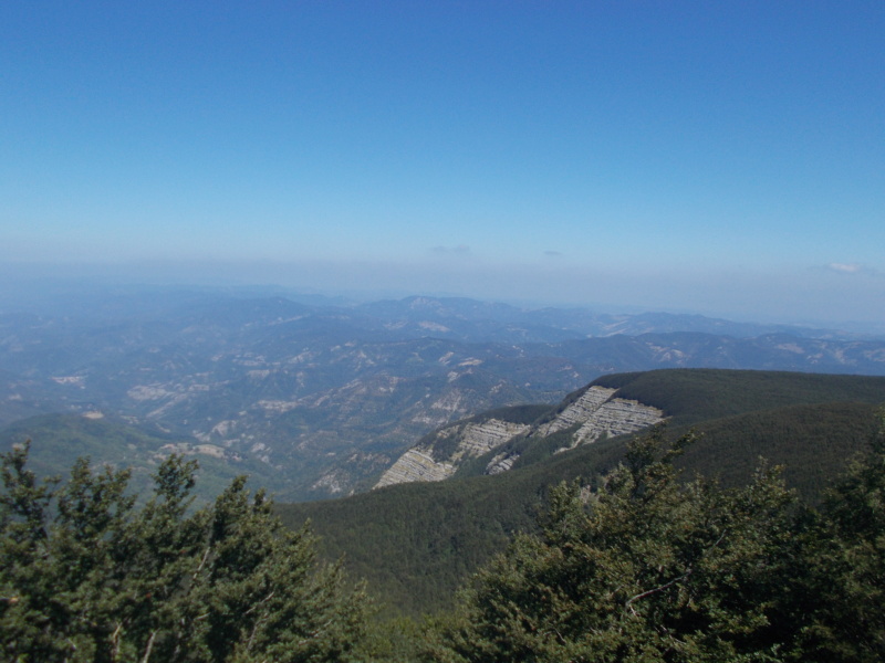 Escursione dalla Burraia al Monte Falco (Parco Nazionale Foreste Casentinesi) Dscn4619