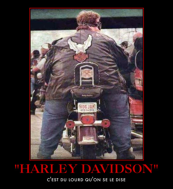 Humour en image du Forum Passion-Harley  ... - Page 7 Automo11