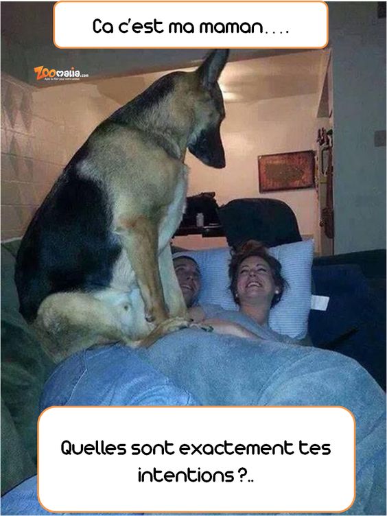 HUMOUR - Page 38 Db506b10