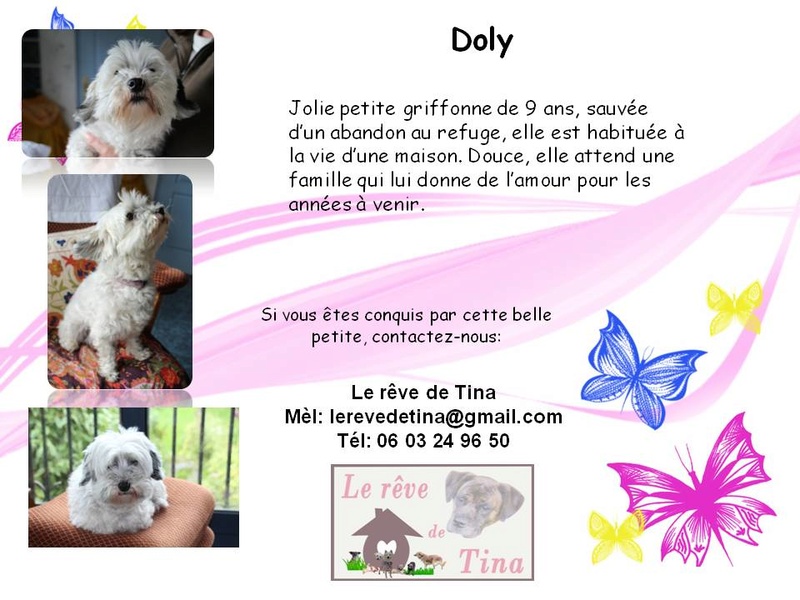  DOLY, jolie petite griffone de 9 ans, a tout perdu en perdant sa mamie (61) Doly12