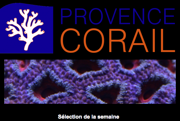 provence corail - Page 2 Captur10