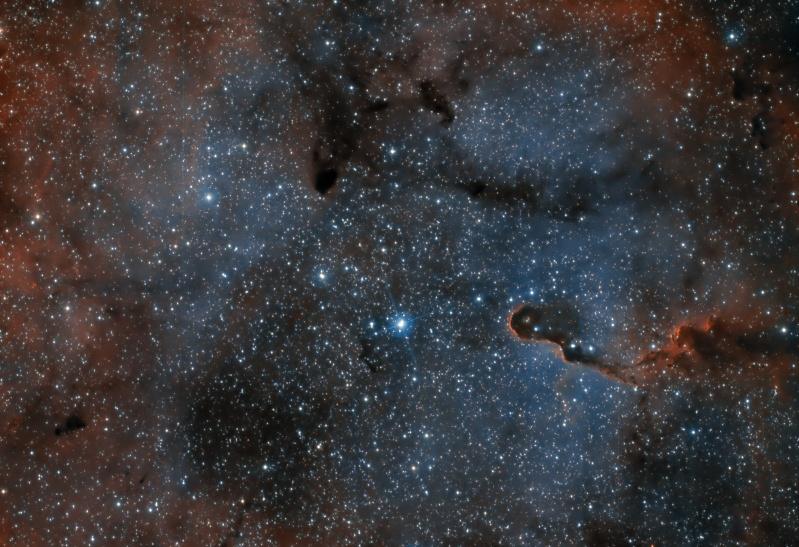 la nébuleuse IC 1396  Ic139610