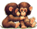 Bon anniversaire Plume - Page 2 Singes10
