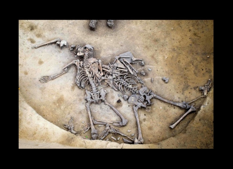 Massacre à la hache dans l'Alsace préhistorique Sans_t35