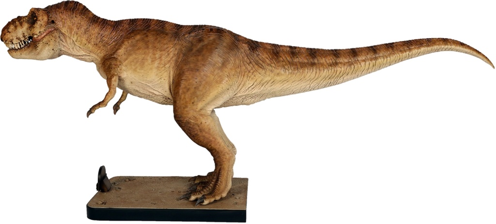Collection n°529 : Rocketeer67 - MAJ oct 2020 - T-rex 1:5 chronicle collectibles Fifths10