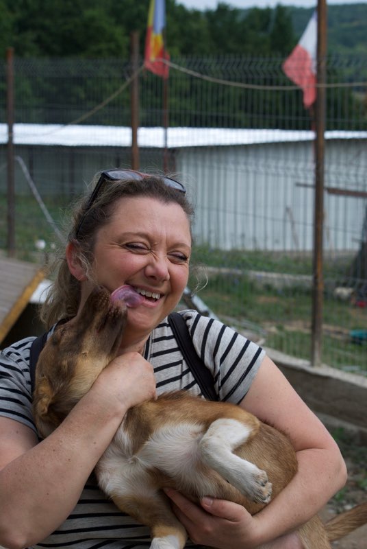 CERISE, chiot femelle, taille moyenne née en février 2016 - adoptée par Gaëlle (dep57) Dsc_0426