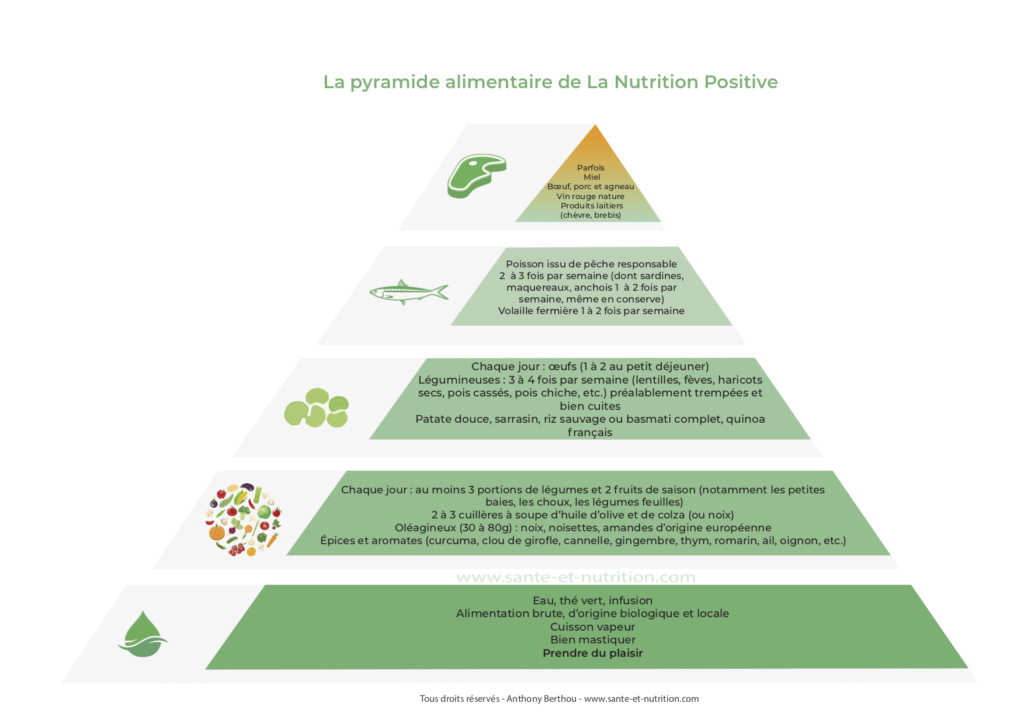 Nutrition positive Pyrami13