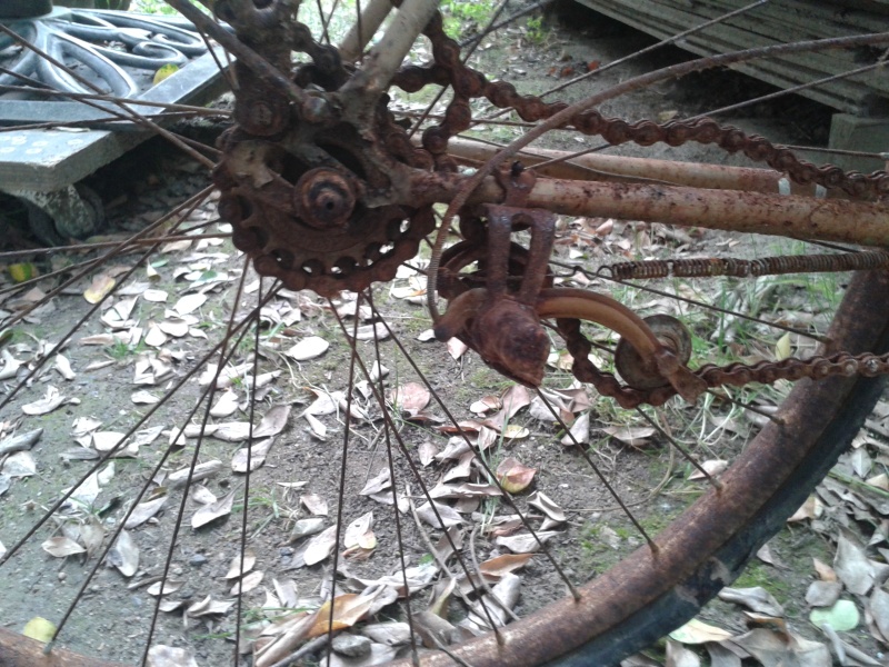 velo phenix 20160628
