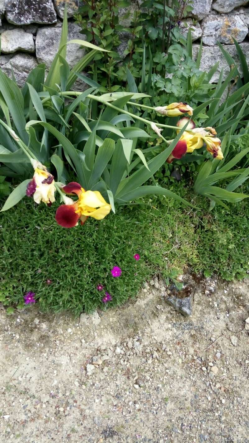 Quelques inconnus Img_2022
