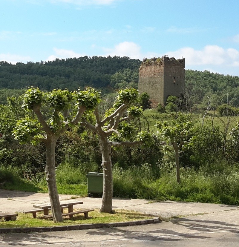 RANDO en TRAIL en Espagne Cigogn10