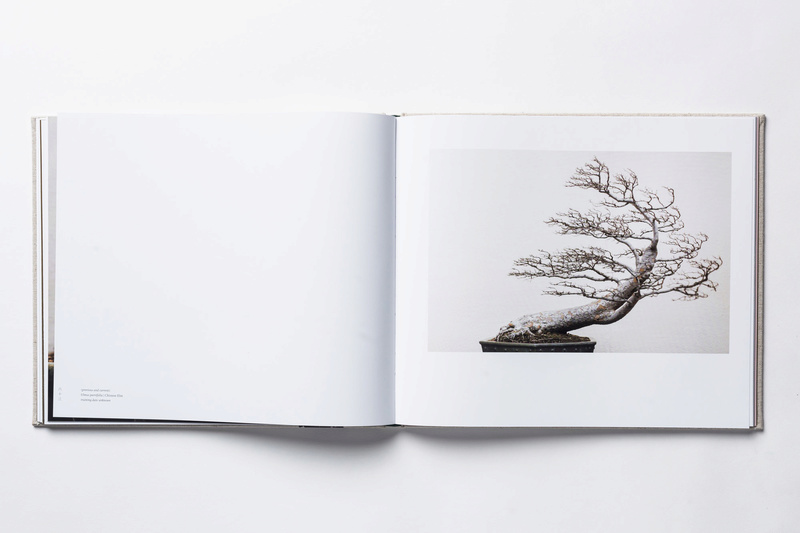 In Training A New Book Of Bonsai Photos Out Now And