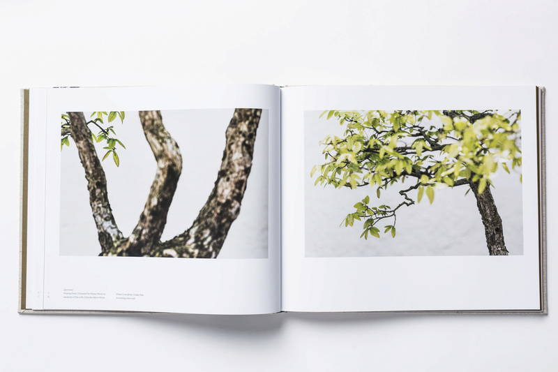 In Training A New Book Of Bonsai Photos Out Now And