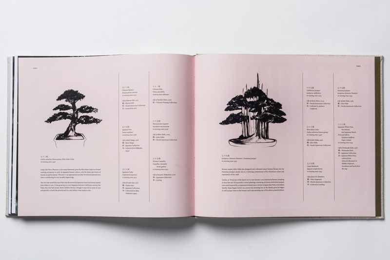 In Training, a new book of bonsai photos, out now (and discounted on Amazon) Intrai15