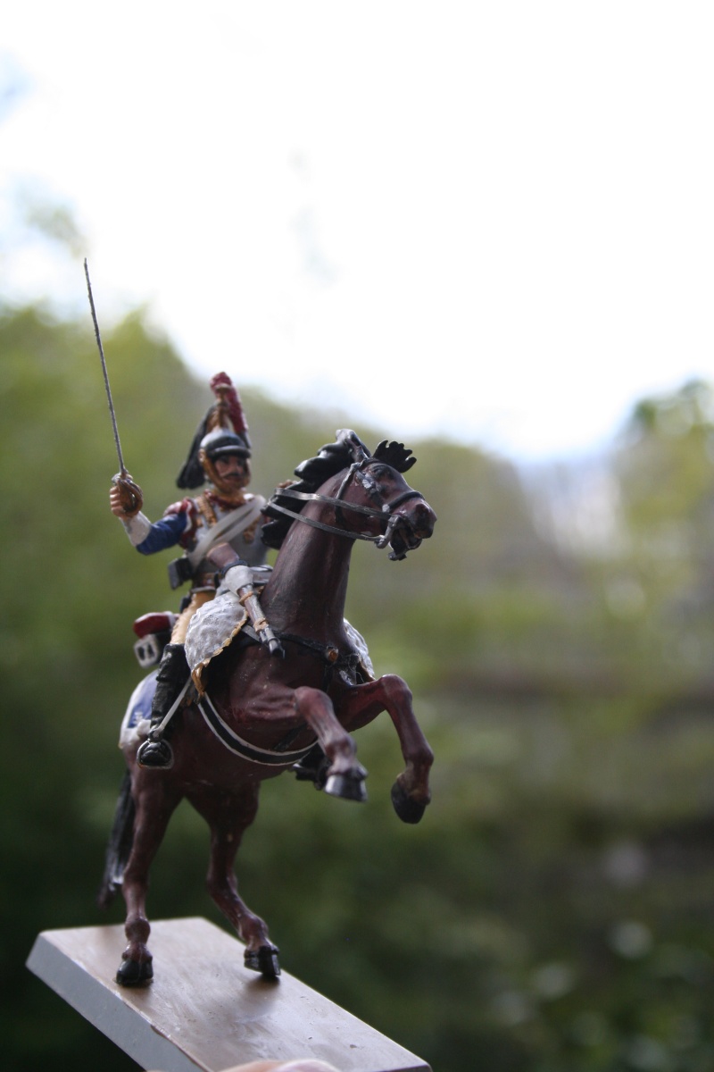 Les cuirassiers de Michaud Img_8012