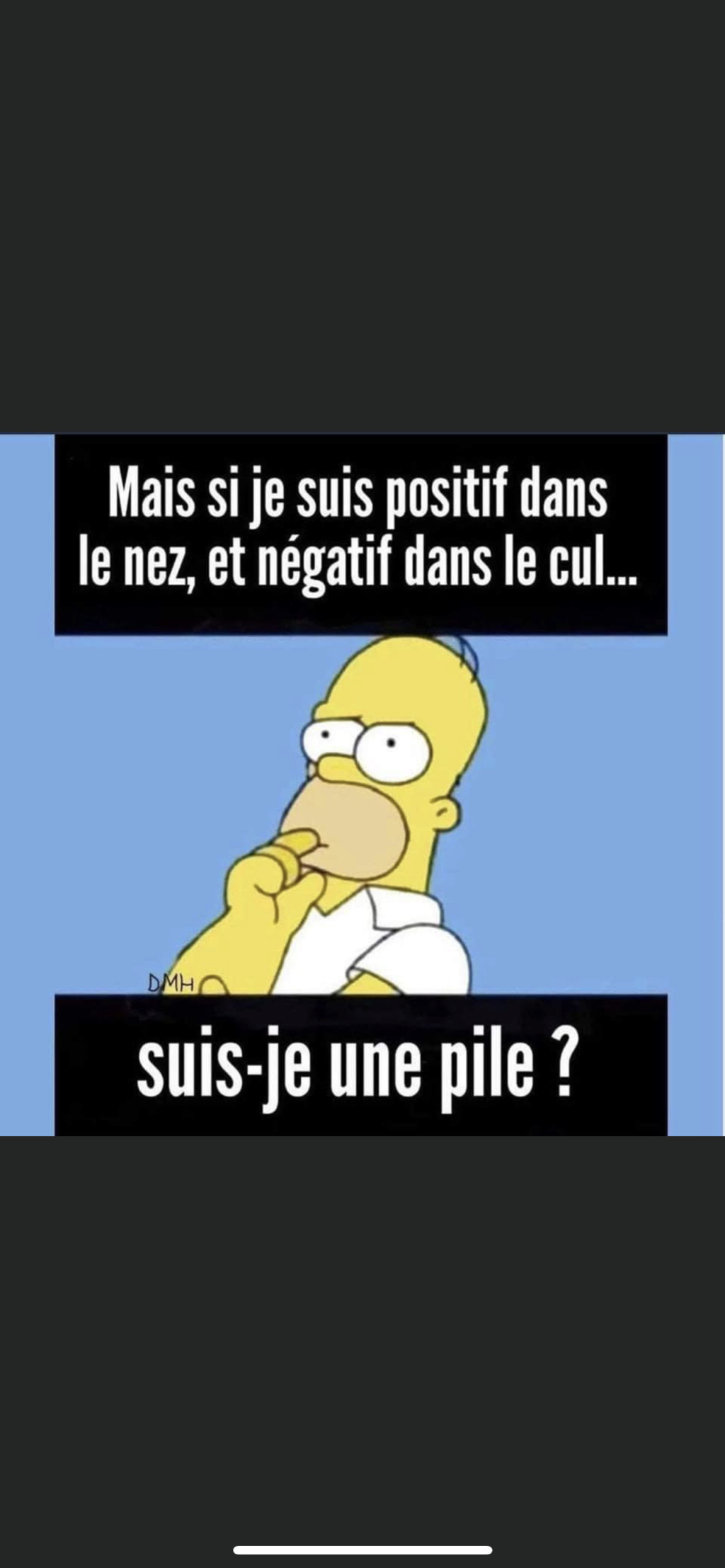 humour - Page 21 5586a810