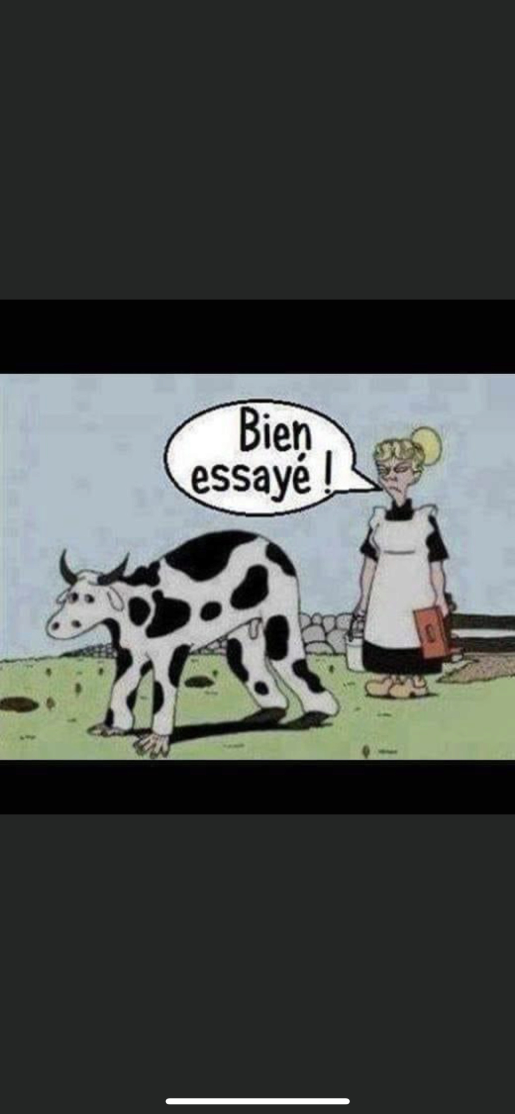 humour - Page 16 658d8a10