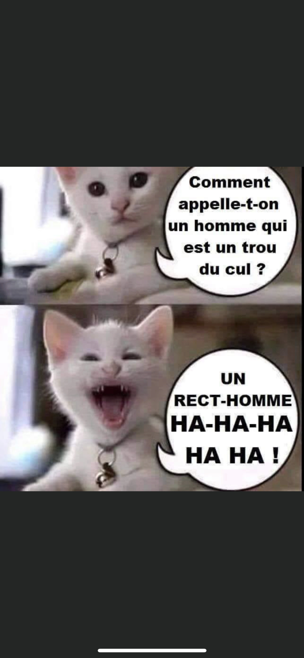 humour - Page 30 81046010