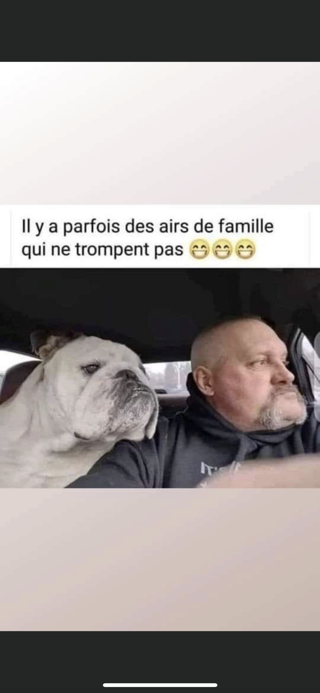 humour - Page 29 95762f10