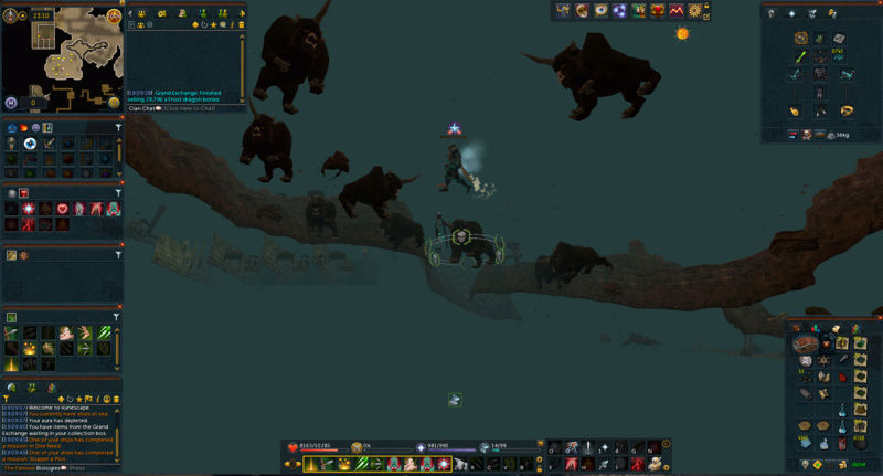 Runescape Pics Gallery - Page 8 Screen16